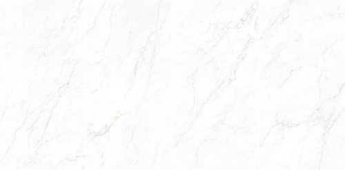 15B106顶级鱼肚金